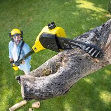 Best Emergency Tree Removal  in Bayside Gardens, OR